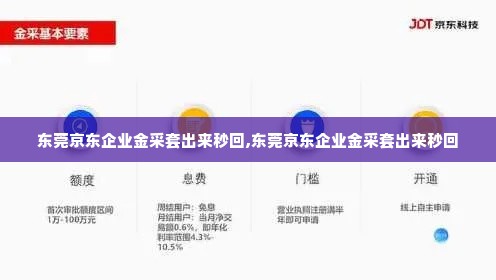 东莞京东企业金采套出来秒回,东莞京东企业金采套出来秒回