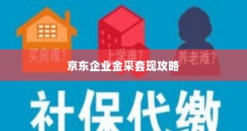 京东企业金采套出来10个点,京东企业金采套现攻略，揭秘10个点的秘密