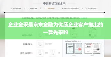 京东企业金采怎么把额度套出来,京东企业金采额度管理与套现策略