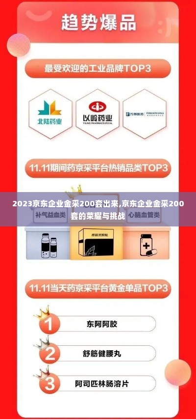 2023京东企业金采200套出来,京东企业金采200套的荣耀与挑战