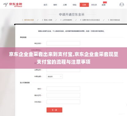京东企业金采套出来到支付宝,京东企业金采套现至支付宝的流程与注意事项