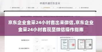 京东企业金采24小时套出来微信,京东企业金采24小时套现至微信操作指南