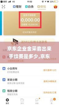 京东企业金采套出来手续费是多少,京东企业金采套出来手续费解析