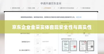 京东企业金采实体套出来安全吗是真的吗,京东企业金采实体套现的安全性与真实性探究