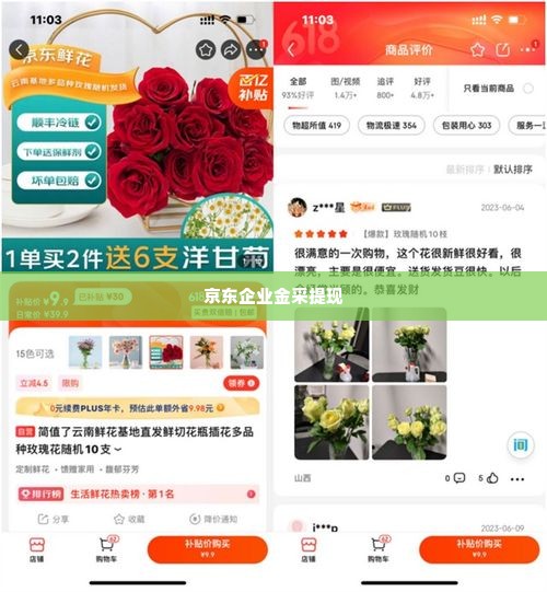 京东企业金采如何套出来到银行卡上,京东企业金采——如何安全高效地将资金转入银行卡