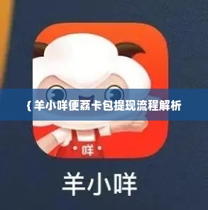 羊小咩便荔卡包提现,羊小咩便荔卡包提现流程解析
