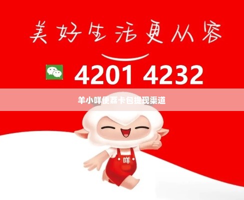 羊小咩便荔卡包提现渠道,探索羊小咩便荔卡包的提现渠道