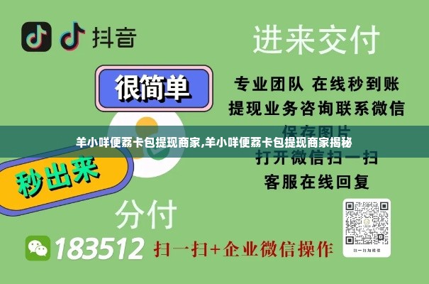 羊小咩便荔卡包提现商家,羊小咩便荔卡包提现商家揭秘