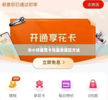 羊小咩便荔卡包最新提现方法,羊小咩便荔卡包最新提现方法