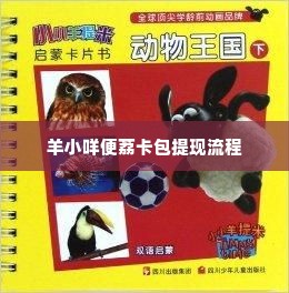 羊小咩便荔卡包如何绑卡提现,羊小咩便荔卡包的绑卡与提现指南