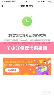 羊小咩便荔卡包提现秒到账,羊小咩便荔卡包提现秒到账，轻松理财新体验