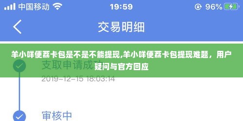 羊小咩便荔卡包是不是不能提现,羊小咩便荔卡包提现难题，用户疑问与官方回应