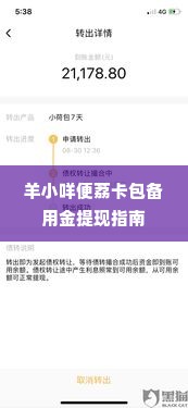 羊小咩便荔卡包备用金怎么提现,羊小咩便荔卡包备用金提现指南