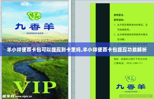 羊小咩便荔卡包可以提现到卡里吗,羊小咩便荔卡包提现功能解析
