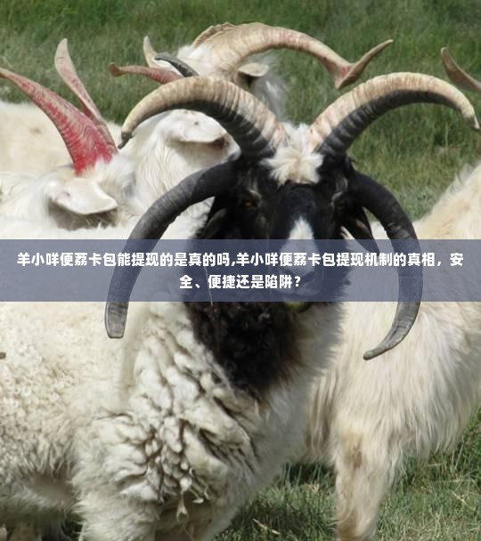 羊小咩便荔卡包能提现的是真的吗,羊小咩便荔卡包提现机制的真相，安全、便捷还是陷阱？
