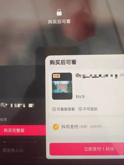 抖音月付套出来几个点划算,抖音月付套现的利与弊分析及最佳方案推荐