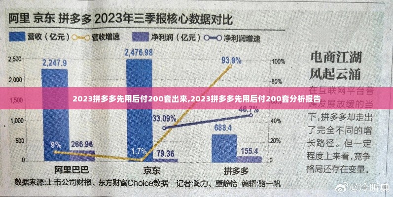 2023拼多多先用后付200套出来,2023拼多多先用后付200套分析报告