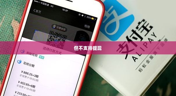 怎么抖音月付套出来到微信,揭秘抖音月付套现到微信的实用技巧