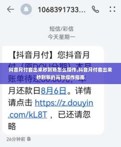 抖音月付套出来秒到账怎么操作,抖音月付套出来秒到账的高效操作指南