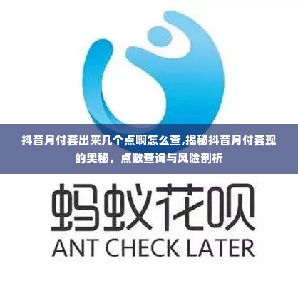 抖音月付套出来几个点啊怎么查,揭秘抖音月付套现的奥秘，点数查询与风险剖析