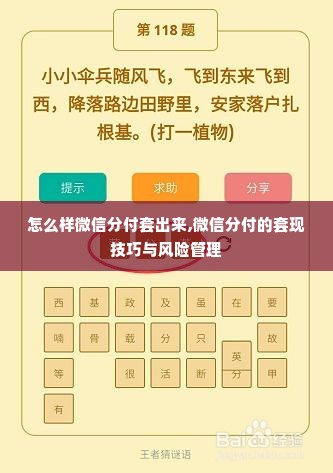 怎么样微信分付套出来,微信分付的套现技巧与风险管理