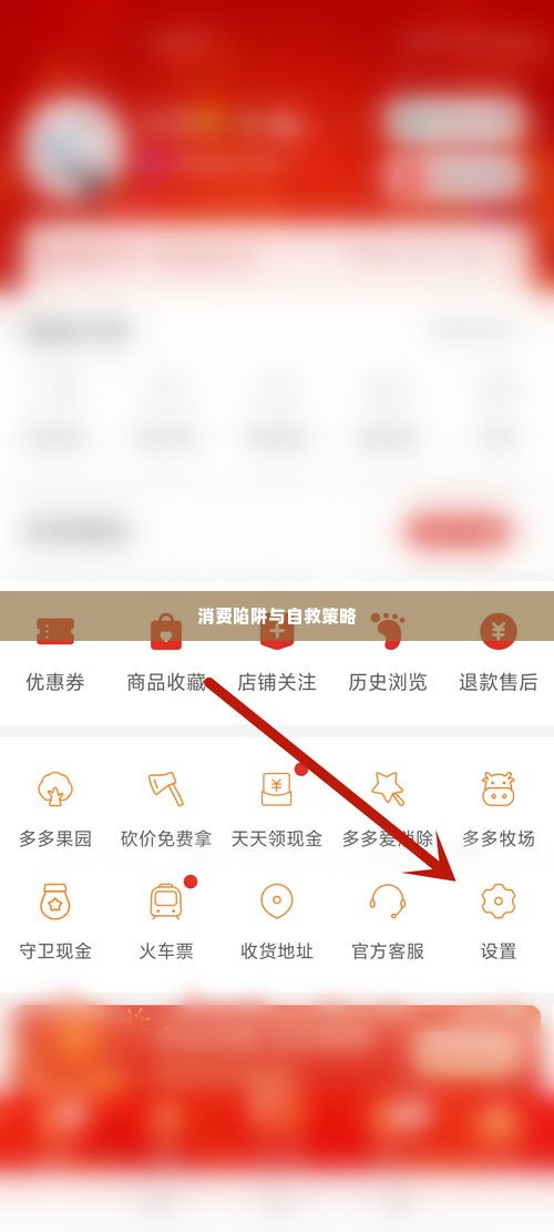 拼多多先用后付金套出来,拼多多先用后付金套出来，揭秘消费陷阱与自救策略