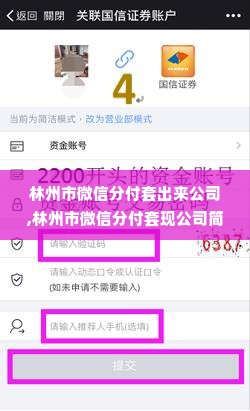 林州市微信分付套出来公司,林州市微信分付套现公司简介与服务内容