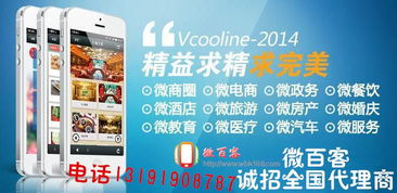 林州市微信分付套出来公司,林州市微信分付套现公司简介与服务内容
