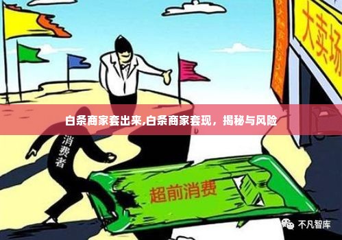 白条商家套出来,白条商家套现，揭秘与风险