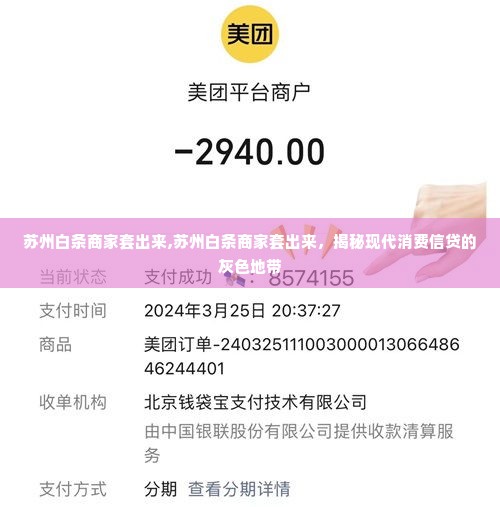 苏州白条商家套出来,苏州白条商家套出来，揭秘现代消费信贷的灰色地带