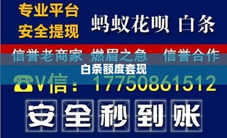 白条额度套出来商家,揭秘白条额度套出来商家的运作模式与风险