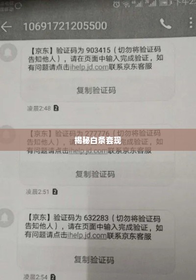 白条自助套出来码,揭秘白条自助套现码的奥秘