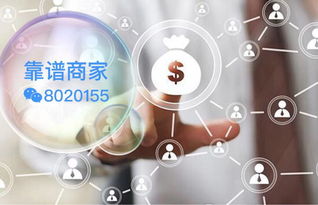 白条商店套出来怎么操作,揭秘白条商店套现的陷阱与策略