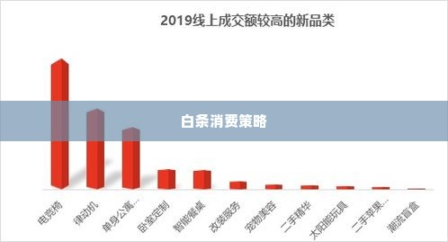 白条可以买什么套出来,白条消费的巧妙策略与智慧套现