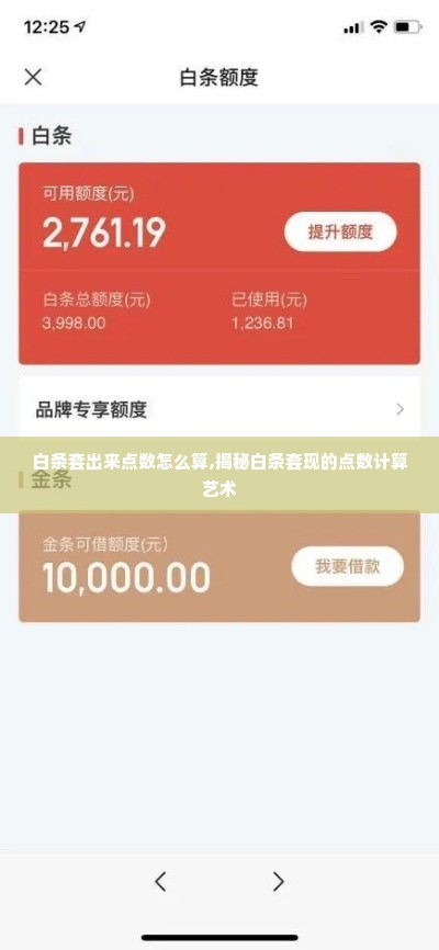 白条套出来点数怎么算,揭秘白条套现的点数计算艺术