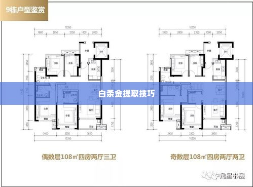 白条金怎么套出来的啊,揭秘，白条金怎么套出来的？