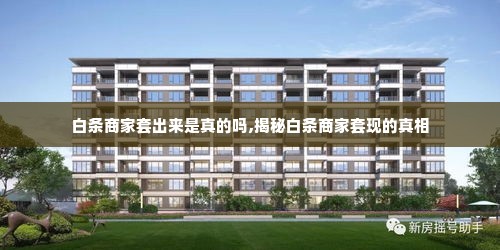 白条商家套出来是真的吗,揭秘白条商家套现的真相