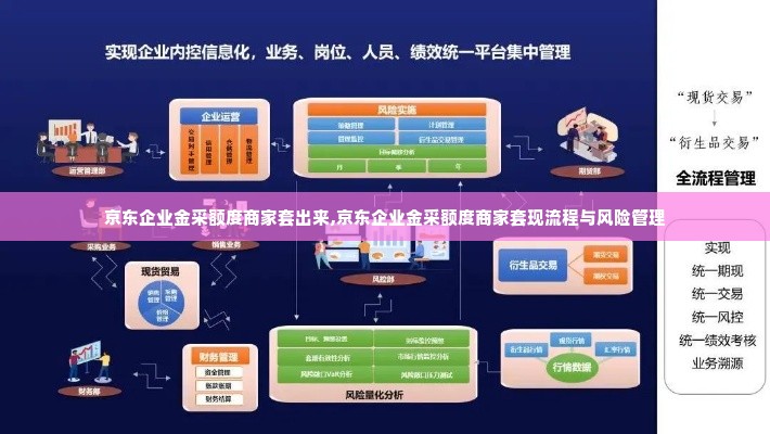 京东企业金采额度商家套出来,京东企业金采额度商家套现流程与风险管理