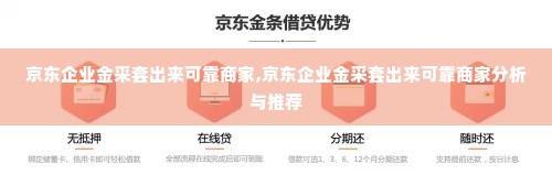 京东企业金采套出来可靠商家,京东企业金采套出来可靠商家分析与推荐