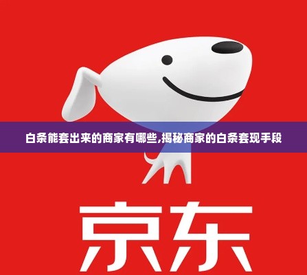 白条能套出来的商家有哪些,揭秘商家的白条套现手段