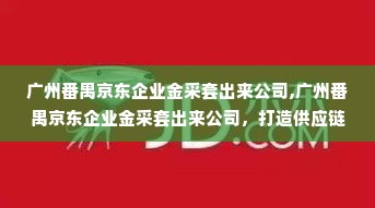 广州番禺京东企业金采套出来公司,广州番禺京东企业金采套出来公司，打造供应链金融新生态