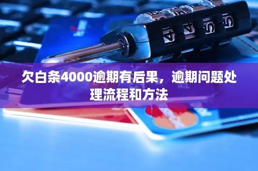 白条说我套出来4000怎么办,面对困境，理智应对——如何妥善处理4000元债务问题