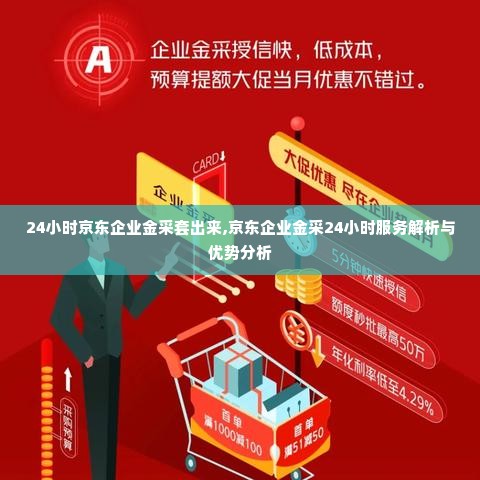 24小时京东企业金采套出来,京东企业金采24小时服务解析与优势分析