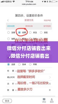 微信分付店铺套出来,微信分付店铺套出来，揭秘与风险并存的灰色地带