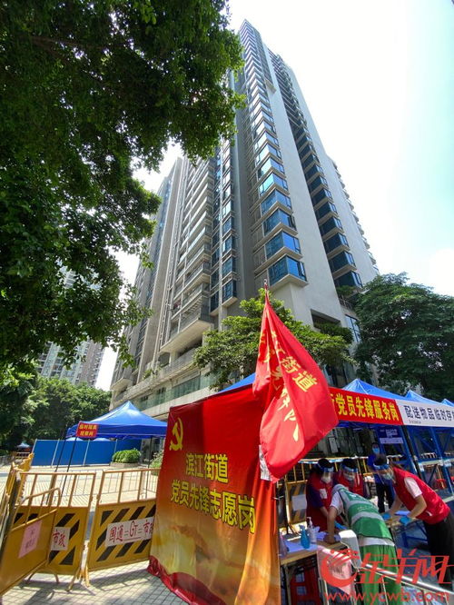微信分付店铺套出来,微信分付店铺套出来，揭秘与风险并存的灰色地带
