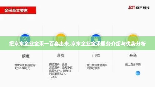 把京东企业金采一百套出来,京东企业金采服务介绍与优势分析