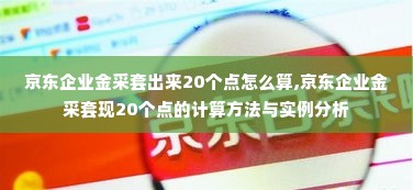 京东企业金采套出来20个点怎么算,京东企业金采套现20个点的计算方法与实例分析