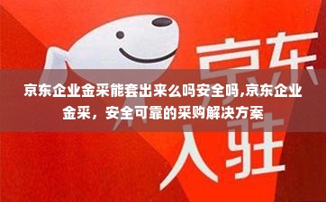 京东企业金采能套出来么吗安全吗,京东企业金采，安全可靠的采购解决方案