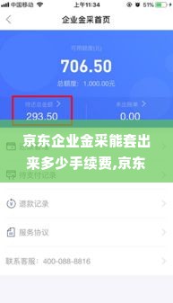 京东企业金采能套出来多少手续费,京东企业金采手续费分析与比较