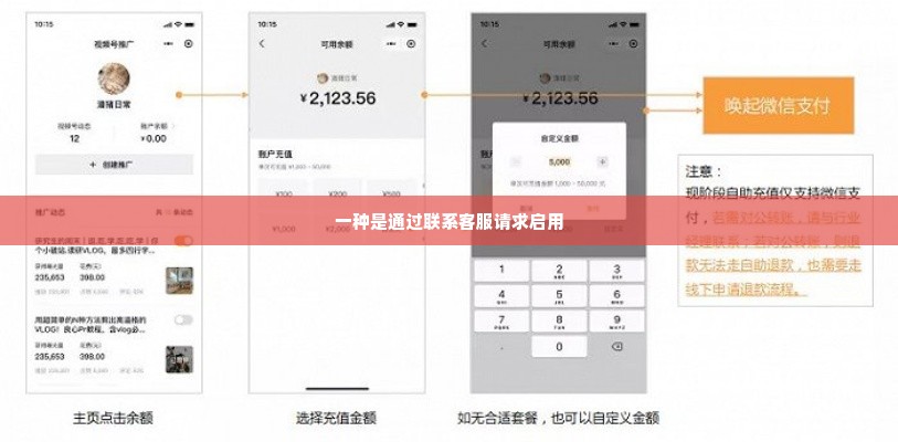 微信分付金怎么套出来的,微信分付金套现技巧全解析